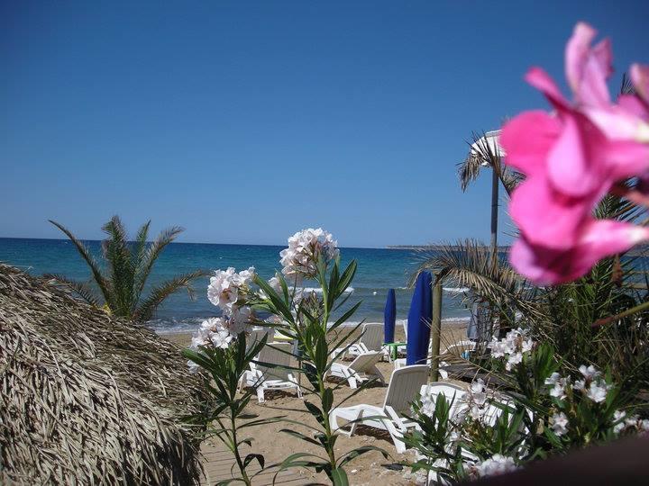 דירות טראפטו Vista Mare מראה חיצוני תמונה